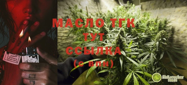 спиды Майский