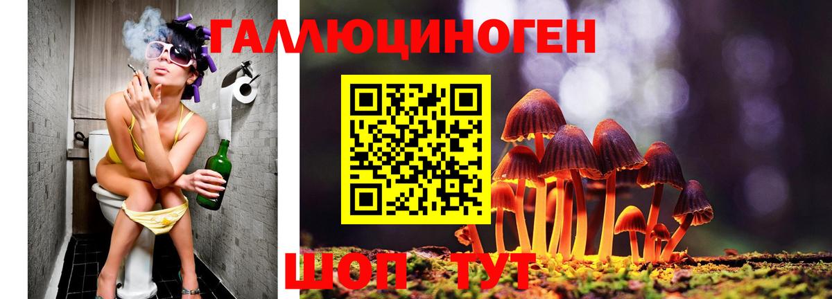 Псилоцибиновые грибы Psilocybine cubensis  Вход с VPN  Туапсе  Псилоцибиновые грибы MAGIC MUSHROOMS 